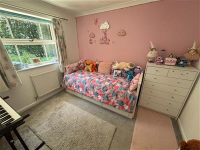 Picture 13